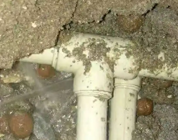 秀山测漏水多少钱