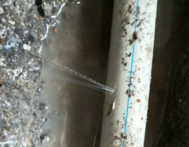 秀山测漏水哪家好