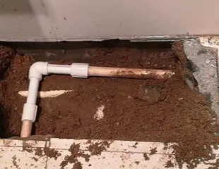 秀山测漏水哪家好