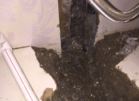 秀山卫生间测漏水哪家好