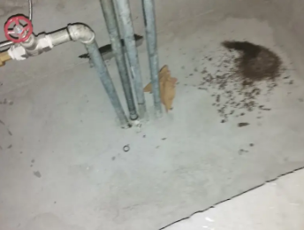 秀山卫生间测漏水价格明细