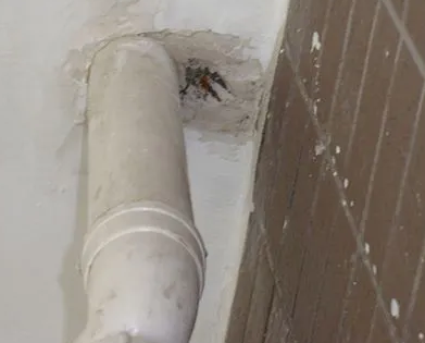 秀山漏水检测哪家好